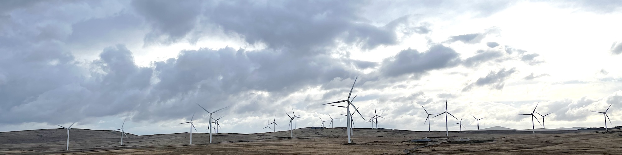 A windfall in Scotland's Southern Uplands